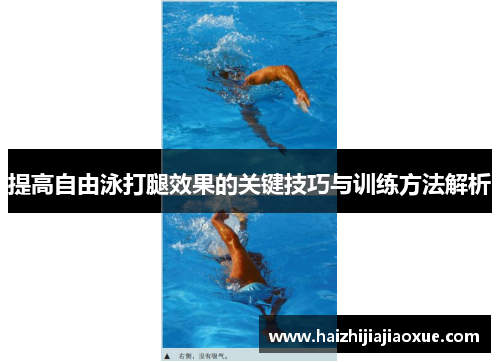 提高自由泳打腿效果的关键技巧与训练方法解析