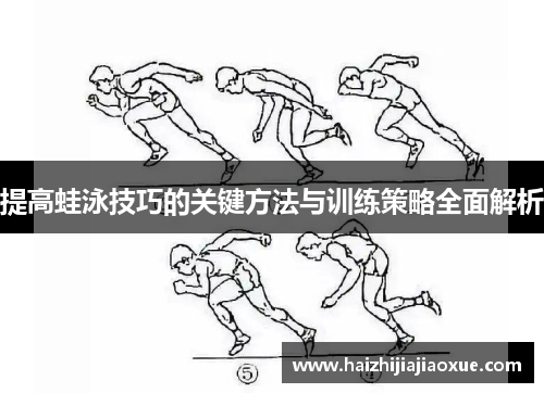 提高蛙泳技巧的关键方法与训练策略全面解析